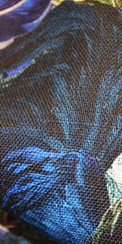MadameDLS_blue_macro